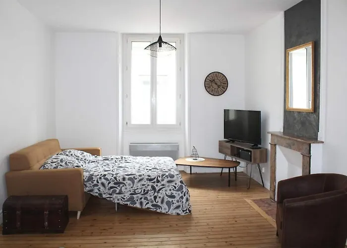 Charmant Cocon Au Coeur D'angers * אנז'ה